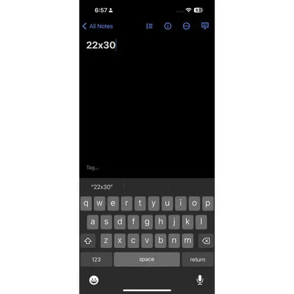 Vaginatarian VTG T Shirt Funny Adult Content Love Sexy Hot Girl Green Skate Punk - Picture 7 of 7